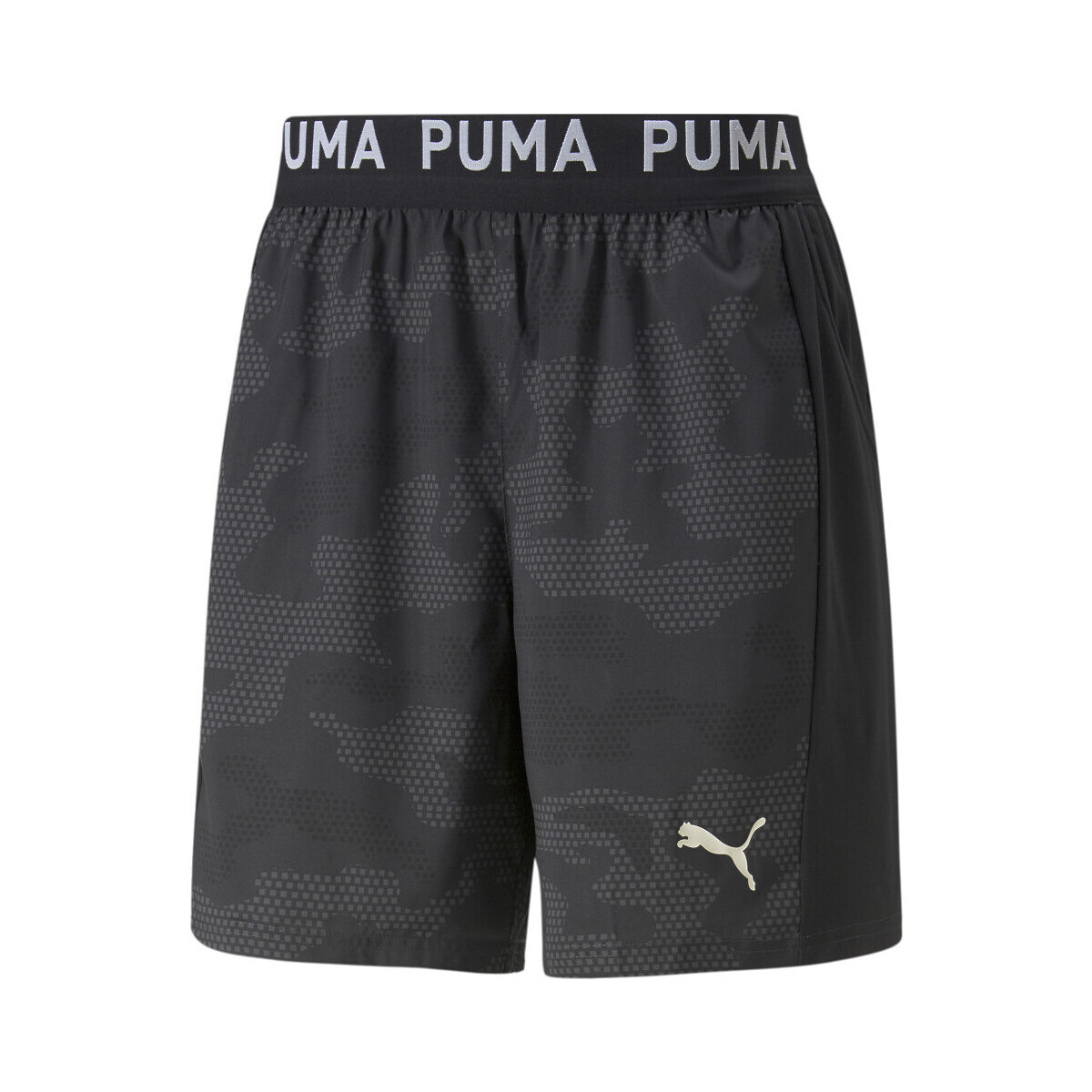 Vêtements Homme Shorts / Bermudas Puma 522359-01 Noir