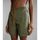 Vêtements Homme Maillots / Shorts de bain Napapijri V-MORGEX NP0A4GAI-GAE GREEN LICHEN Vert