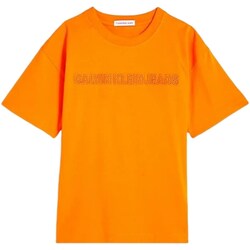 Vêtements Garçon T-shirts manches courtes Calvin Klein Jeans IB0IB01643 Orange