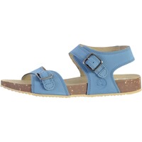 Chaussures Sandales et Nu-pieds Timberland 212861 Bleu