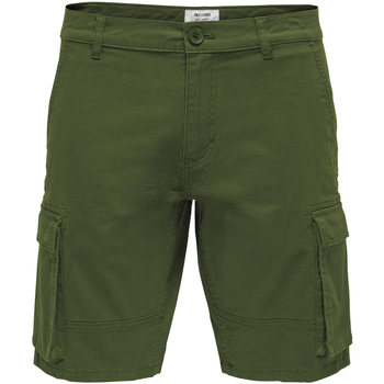 Vêtements Homme Shorts / Bermudas Only & Sons  Short coton Kaki