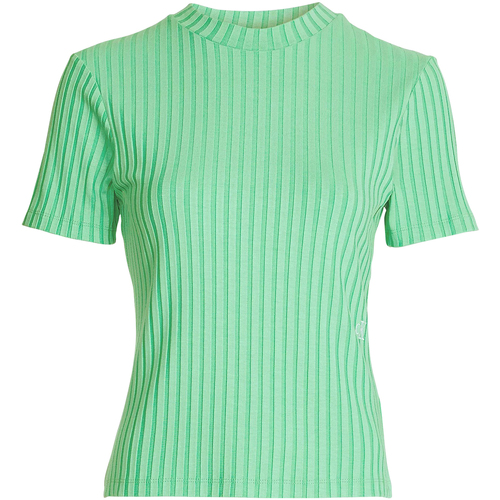 Vêtements Homme T-shirts & Polos Calvin Klein Jeans T-shirt col rond droit Vert