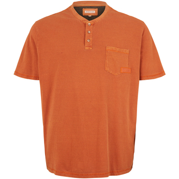 Vêtements Homme Type de fermeture Tom Tailor T-shirt droit coton col tunisien GRANDE TAILLE Orange