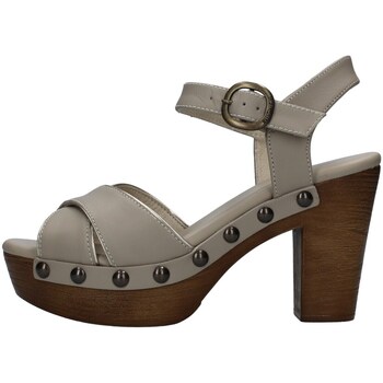 Chaussures Femme Sandales et Nu-pieds NeroGiardini E307790D Gris