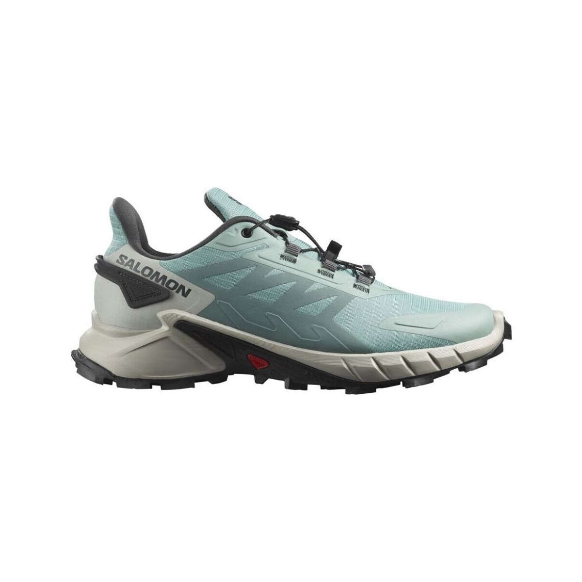 Chaussures Femme Running / trail Salomon Supercross 4 Gtx Vert, Bleu