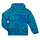 Vêtements Garçon Doudounes Patagonia K'S M houndstooth print hoodie Bleu