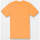 Vêtements Enfant T-shirts manches courtes Volcom Camiseta niño  Lifer SS Sunburst Orange