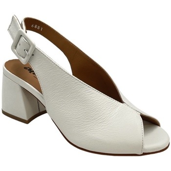 Chaussures Femme Sandales et Nu-pieds Melluso AMELLUSON622Dbianco Blanc
