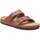 Chaussures Homme Sandales et Nu-pieds Xti 14126803 Marron