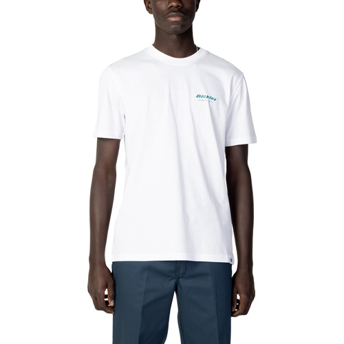 Vêtements Homme Blue Shirt Minidress Dickies DK0A4Y8Q Blanc