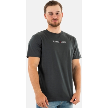 Vêtements Homme T-shirts manches courtes Tommy Jeans dm0dm14984 gris