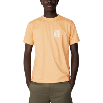 Vêtements Homme Pochettes / Sacoches Dickies DK0A4Y8W Orange