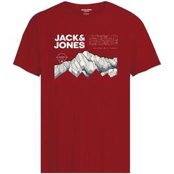 Vêtements Garçon T-shirts manches courtes Jack & Jones  Rouge