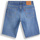 Vêtements Homme Shorts / Bermudas Levi's 39864-0053 Bleu