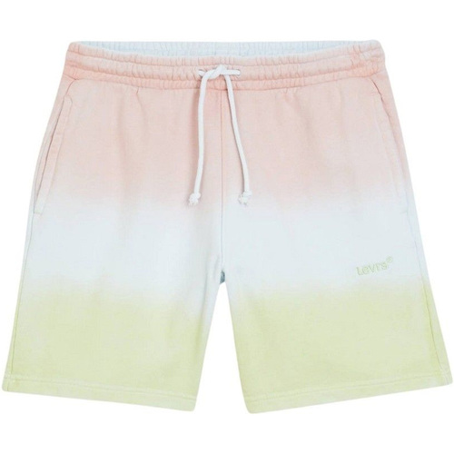 Vêtements Homme Shorts / Bermudas Levi's A1062-0008 Multicolore
