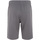 Vêtements Homme Shorts / Bermudas Fila FAM0055-80008 Gris