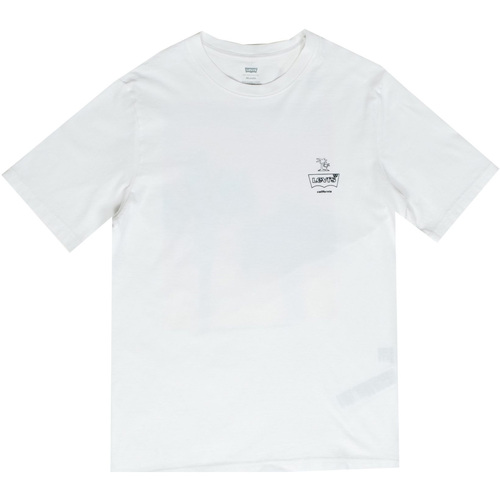 Vêtements Homme T-shirts manches courtes Levi's 16143-0477 Blanc