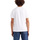 Vêtements Homme T-shirts manches courtes Levi's 22491-1119 Blanc