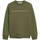 Vêtements Enfant Sweats Calvin Klein Jeans IB0IB01295-LB6 Vert