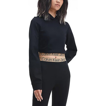 Vêtements Femme Sweats Calvin Klein Jeans J20J219904-BEH Noir