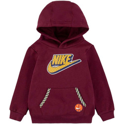 Vêtements Enfant Sweats dresses nike 86K052-R00 Violet