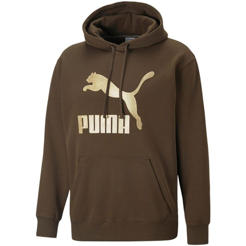 Vêtements Homme Sweats Puma 537035-62 Vert