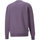 Vêtements Homme Sweats Puma 535671-61 Violet