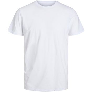 Vêtements Homme T-shirts manches courtes Jack & Jones 12221298 Blanc