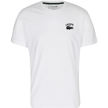Vêtements Homme T-shirts manches courtes Lacoste TH9665-001 Blanc