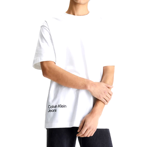 Vêtements Homme T-shirts manches courtes Calvin Klein Jeans J30J322881-YAF Blanc