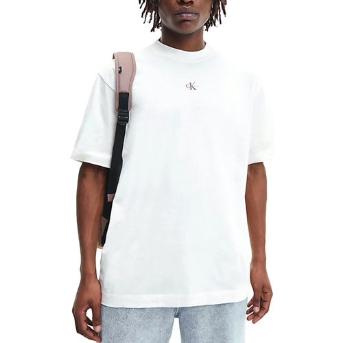 Vêtements Homme T-shirts manches courtes Calvin Klein Jeans J30J322507-YBI Beige