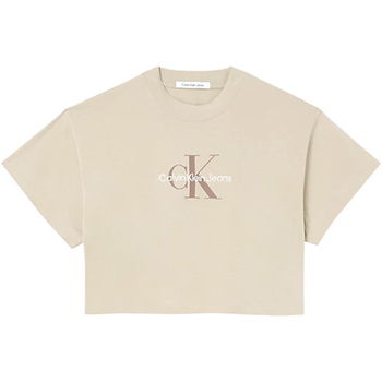 Vêtements Femme T-shirts manches courtes Calvin Klein Jeans J20J220280-PF2 Beige