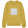 Vêtements Enfant Sweats Calvin Klein Jeans IB0IB01571-ZAJ Jaune