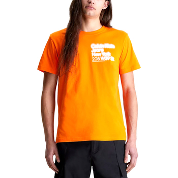 Vêtements Homme T-shirts manches courtes Calvin Klein Jeans J30J322870-SCB Orange