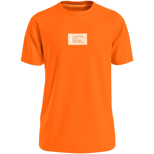 Vêtements Homme T-shirts manches courtes Calvin Klein Jeans J30J322879-SCB Orange