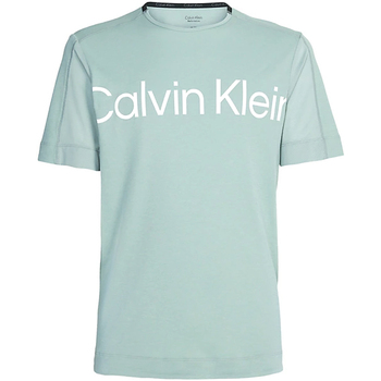 Vêtements Homme T-shirts manches Parlez Calvin Klein Jeans 00GMS3K102-LFW Vert