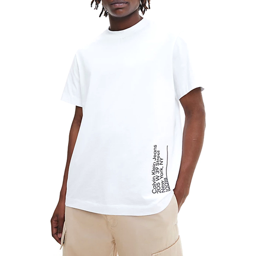 Vêtements Homme T-shirts manches courtes Calvin Klein Jeans J30J322613-YAF Blanc