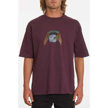 Vêtements Homme T-shirts manches courtes Volcom Camiseta  Hell Wheel Mulberry Violet