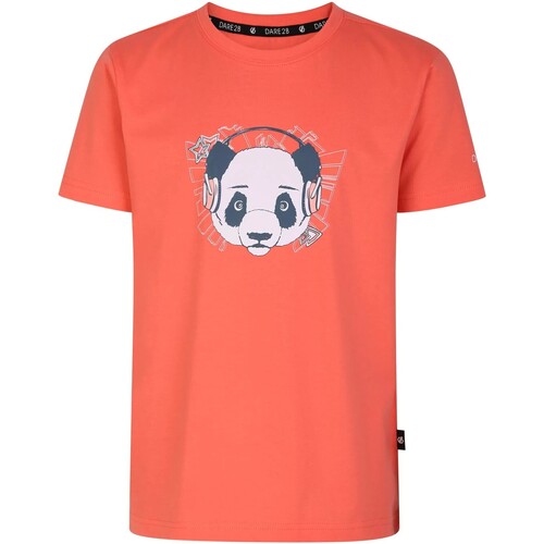 Vêtements Enfant Levi's Plus T-shirt con logo batwing Dare 2b Trailblazer Multicolore