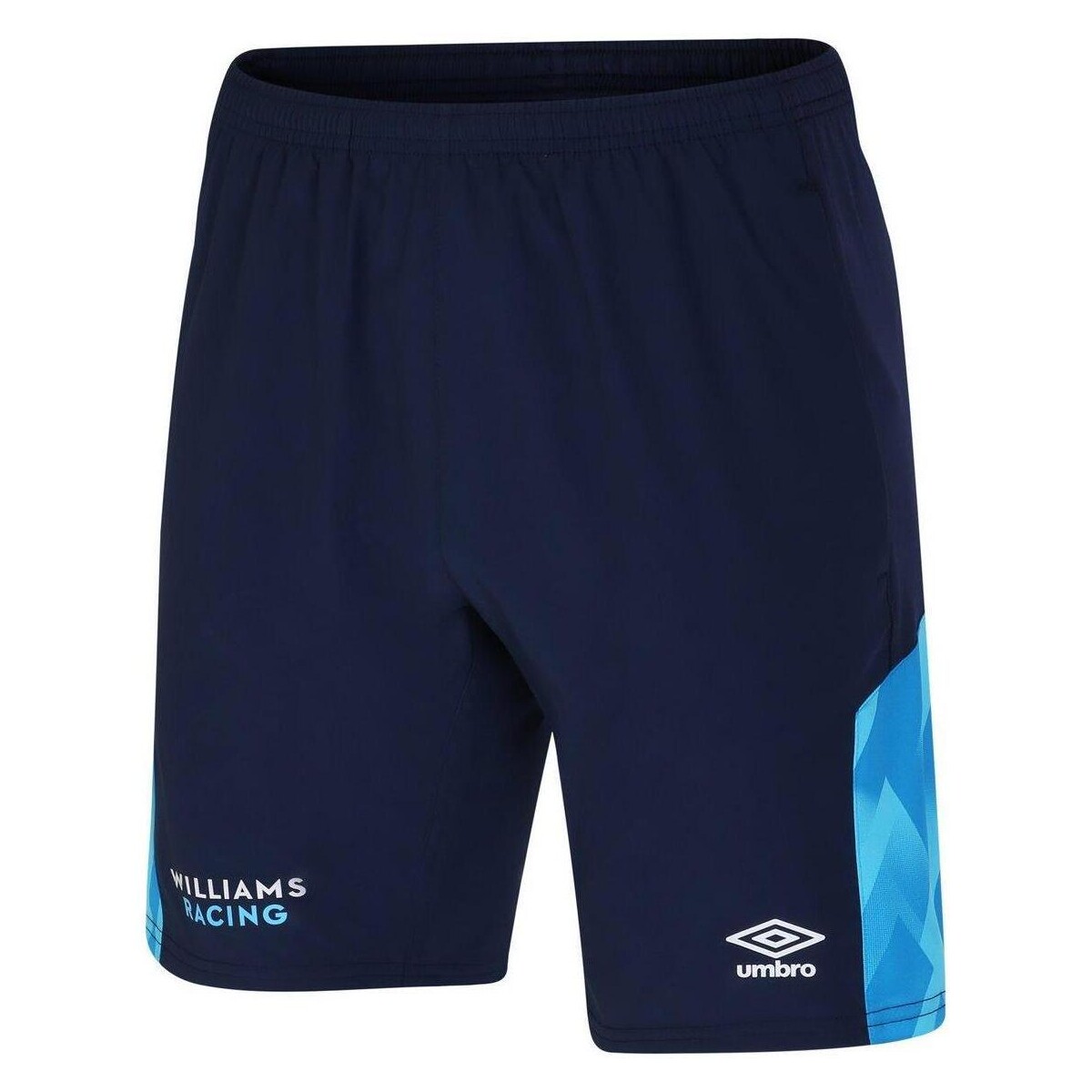 Vêtements Homme Shorts / Bermudas Umbro '23 Bleu
