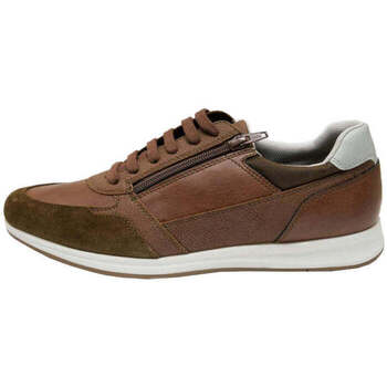 Chaussures Homme Baskets basses Geox Avery Marron