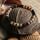 Montres & Bijoux Bracelets Sixtystones Bracelet Heishi Jaspe Vert Impérial-Large-20cm Multicolore
