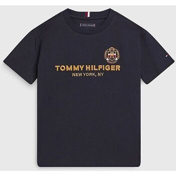 Vêtements Garçon T-shirts & Polos Tommy Hilfiger KB0KB08029-DW5 DESERT SKY Bleu