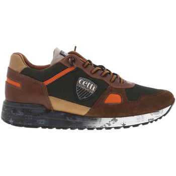 Chaussures Homme Baskets mode Cetti Baskets basses Marron