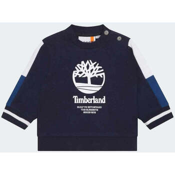 Vêtements Garçon Sweats Timberland negra Bleu