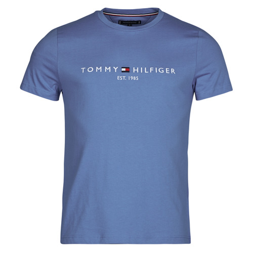 Vêtements Homme T-shirts manches courtes Tommy Hilfiger TOMMY LOGO TEE Bleu