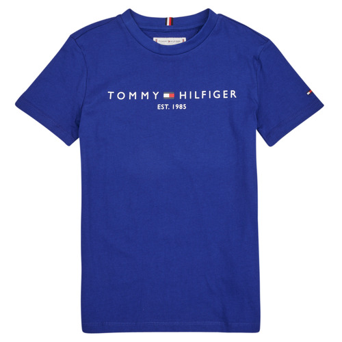 Vêtements Enfant Tommy Hilfiger Performance slim fit flag logo seamless long-sleeved top in black Tommy Hilfiger ESTABLISHED LOGO Bleu