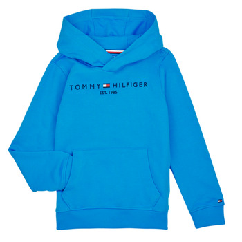 Vêtements Enfant Sweats Tommy Hilfiger ESTABLISHED LOGO Bleu