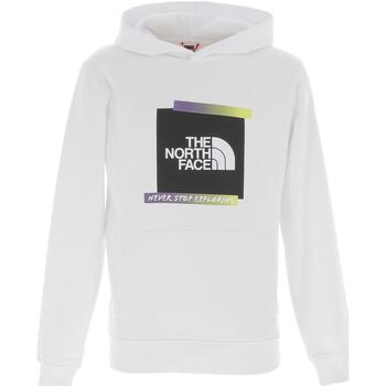 Vêtements Homme Sweats The North Face M es graphic hoodie - eu Blanc
