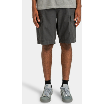 Vêtements Homme Shorts / Bermudas Element Legion Noir
